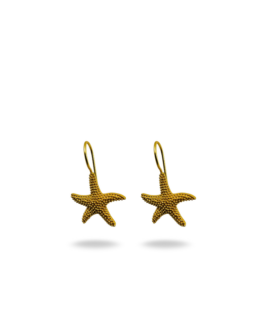 Star shaped Brass Earrings